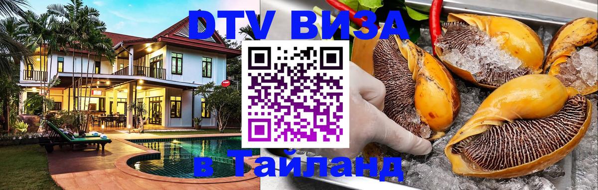 Оформление DTV визы под ключ: стоимость и тарифы, только загранпаспорт - Вена  18.11.2025 